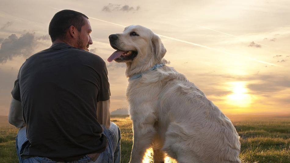 Perché avere un Animale Domestico fa bene