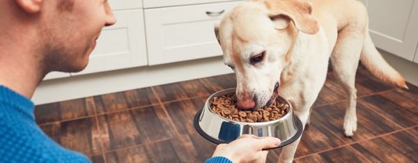 I nostri Animali si stancano di mangiare sempre le stesse cose?